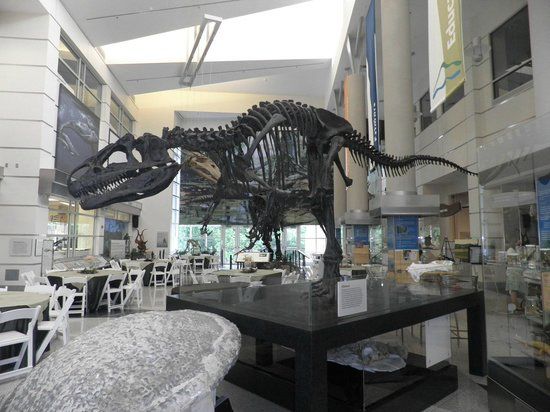 Virginia Museum of Natural History